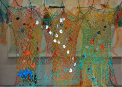 Nets and webs